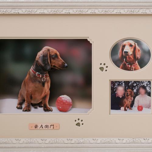 ペットの3Dピクチャー ペットの3Dピクチャー