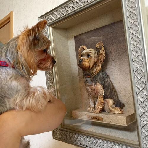 人気者のダニエル 人気者のダニエル