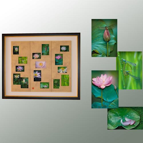 花蓮への讃歌 花蓮への讃歌