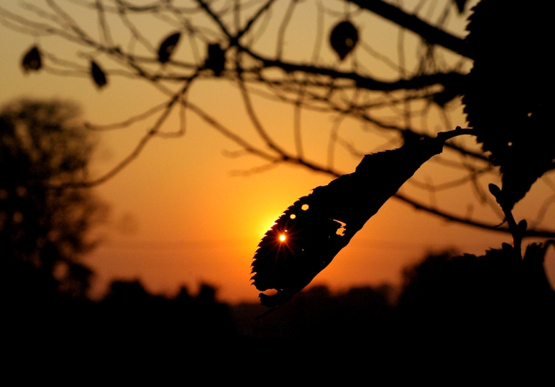 １２月の夕陽