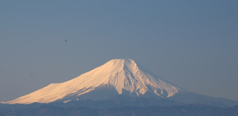 ２００８年１月２日の富士山と鳥（鷹だといいのですが、、、）