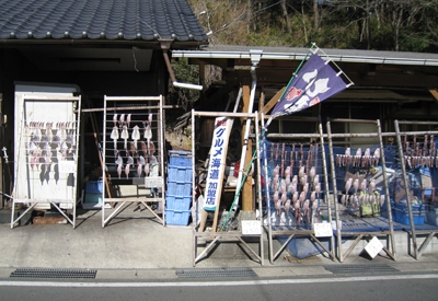 冬の太陽に干された干物は絶品です