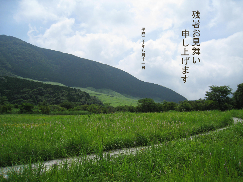 残暑お見舞い申し上げます。2008年8月11日