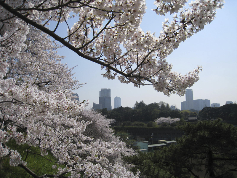 四谷駅前の土手から六本木ヒルズを臨む
