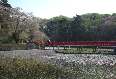 岩槻城址公園八ツ橋