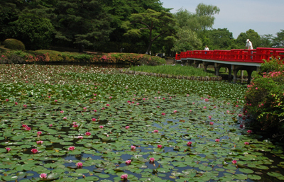 さいたま市岩槻公園