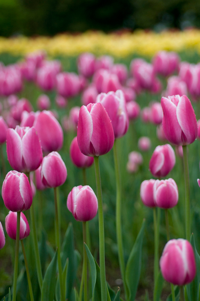 私を射止めた可愛い子