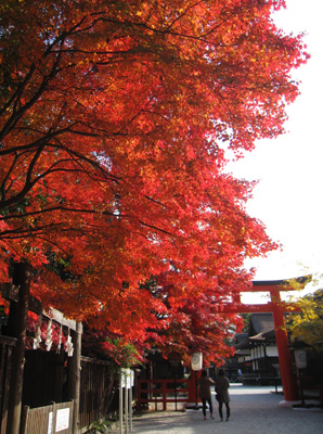 下賀茂神社