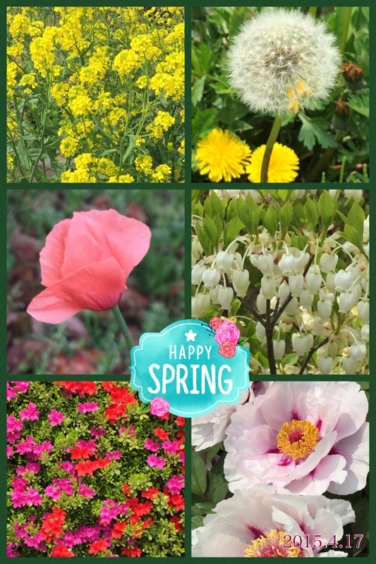 春爛漫　近所に咲いていたお花たち・・・