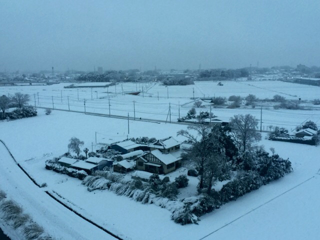 俯瞰構図での雪景色(2016.1.18)