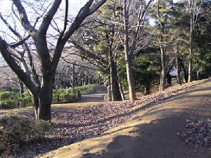 飛鳥山公園5