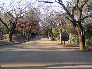 飛鳥山公園1