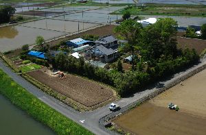 トトロのお家の田植え風景