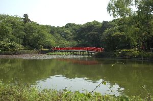 新緑の岩槻公園