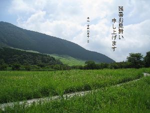 残暑お見舞い申し上げます。2008年8月11日