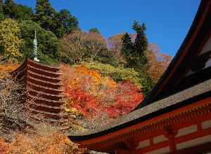 談山神社の紅葉