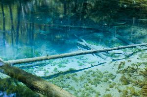 神の子池の青く透き通った水面