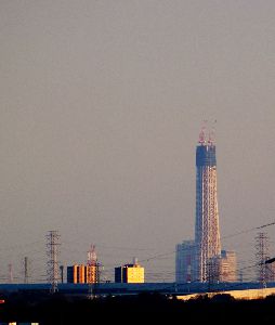 ベランダから見える東京スカイツリー