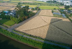 稲刈り後の田んぼ・・・さいたま市