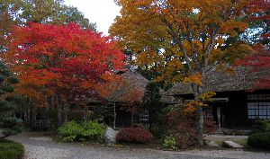 栃木県日光市湯西川温泉の紅葉