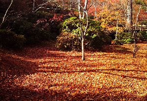 京都嵯峨野・大河内山荘