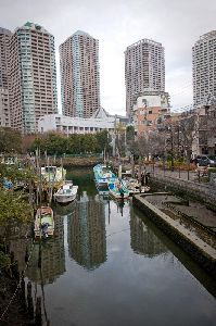 佃橋から見た高層ビルと小さな漁船