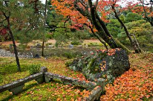 京都・無鄰庵（むりんあん）の紅葉