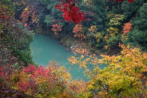 永源寺の紅葉