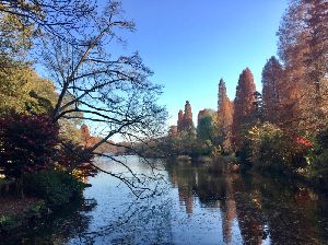 井の頭公園