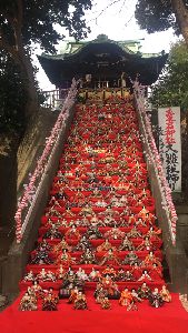 愛宕神社の大雛壇